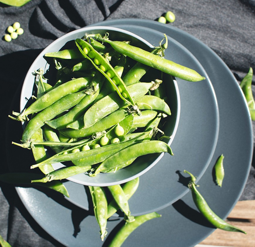 You Are What You Eat